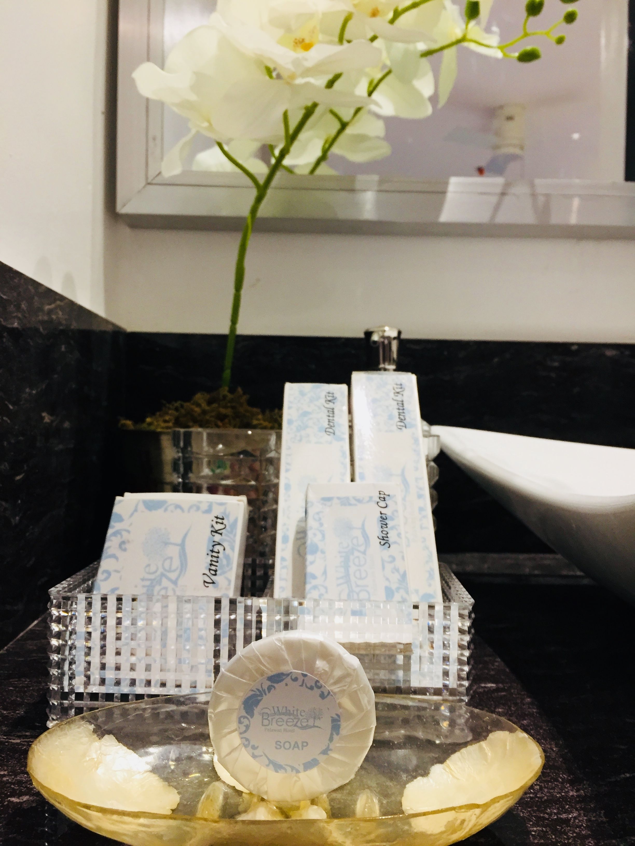 free toiletries, hair dryer, towels