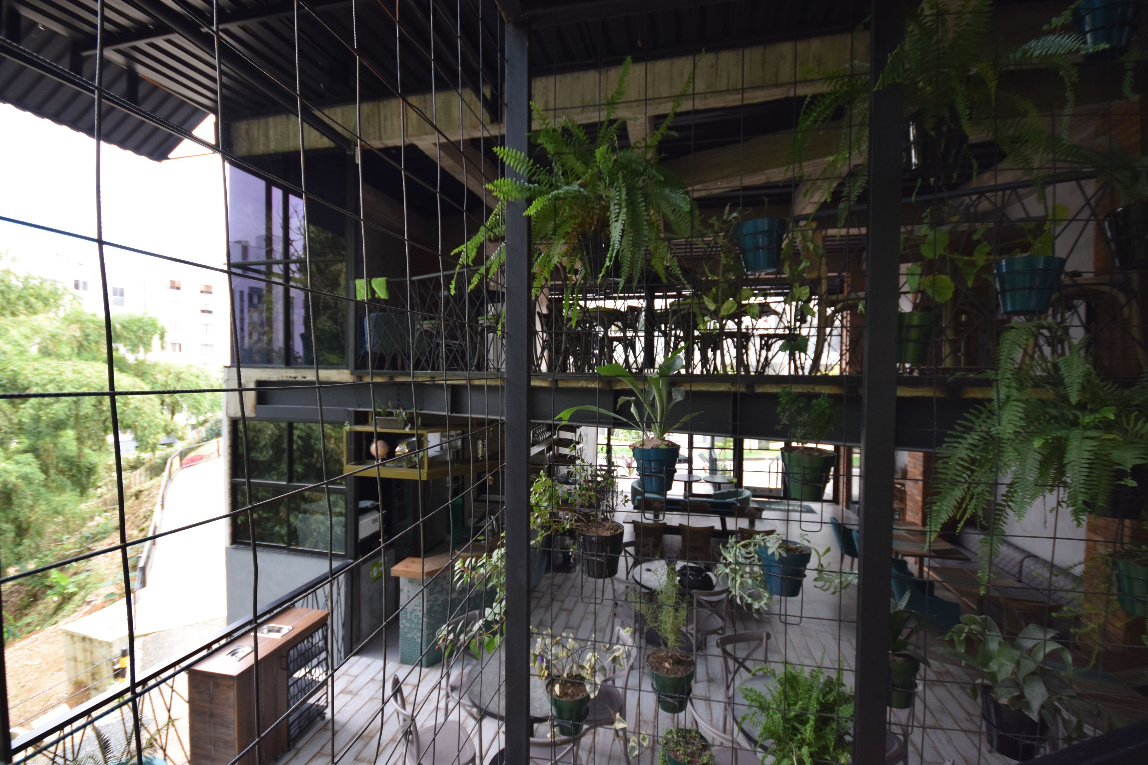 Un espacio interior de varios niveles con varias plantas en macetas y mobiliario.