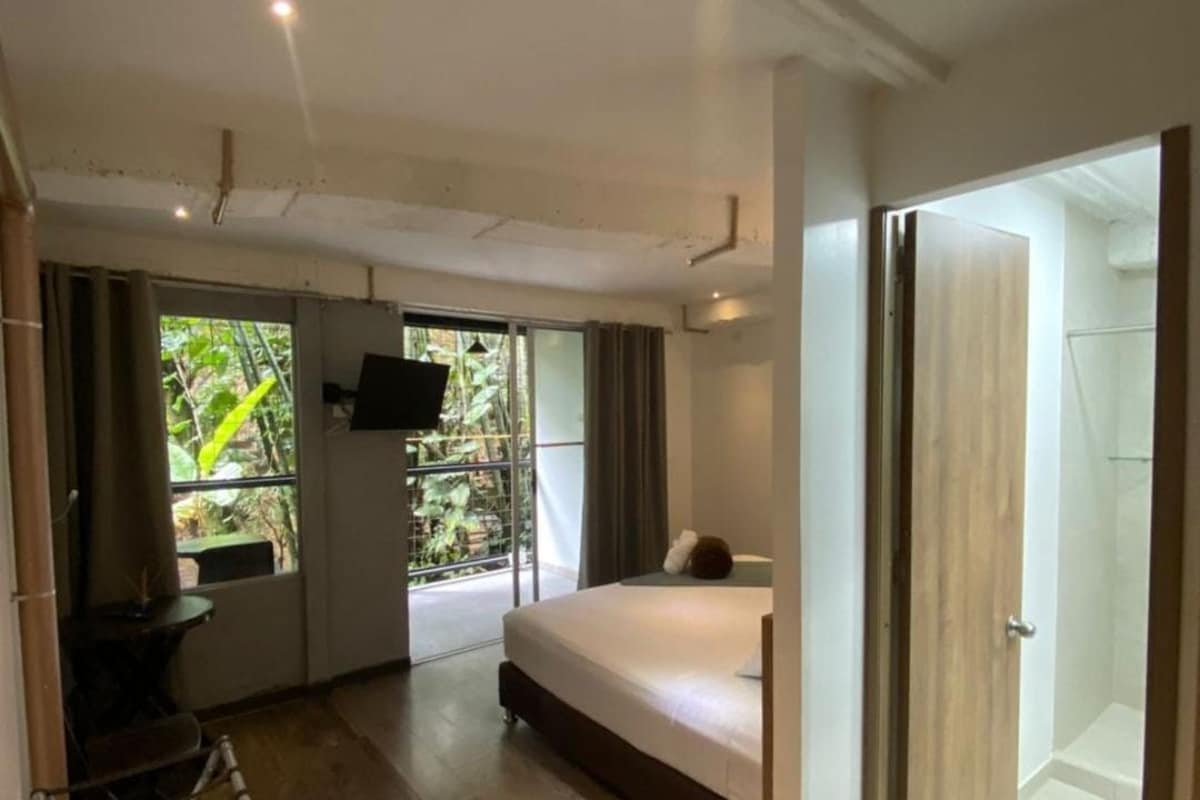 A room with a bed, a TV, a window with a view of greenery, and a shower area.