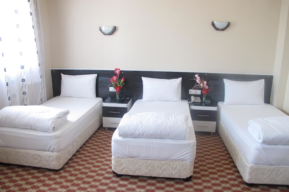Minibar, wifi gratis y ropa de cama