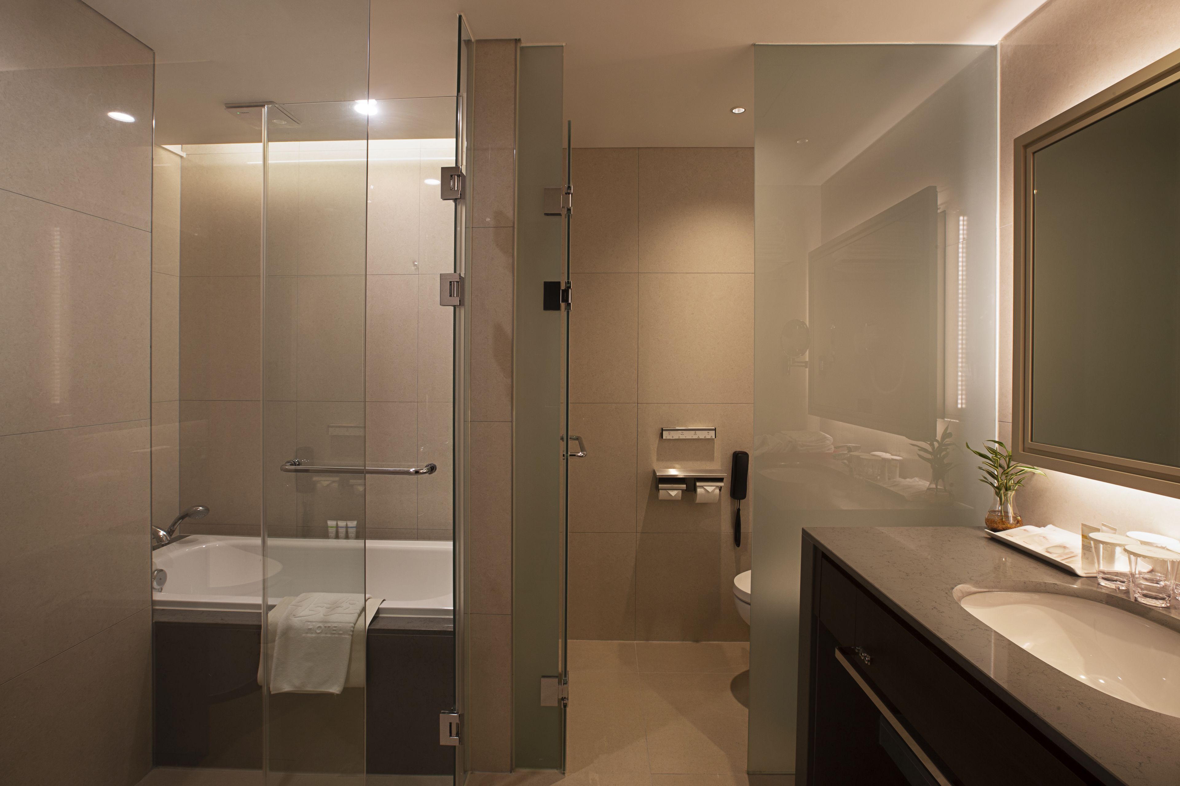 shower, hair dryer, bathrobes, slippers