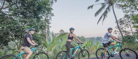 Three people on bicycles in a natural setting with trees and a clear sky.
