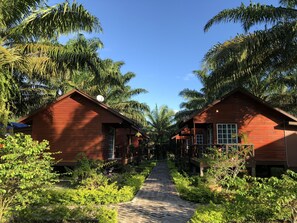 A pathway leading to two wooden cabins surrounded by lush greenery and palm trees. - The Wizard of Oz Resort (Semporna)