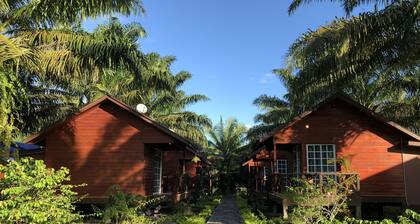 The Wizard of Oz Resort