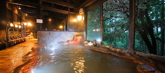 Sakura Sakura Hot Springs