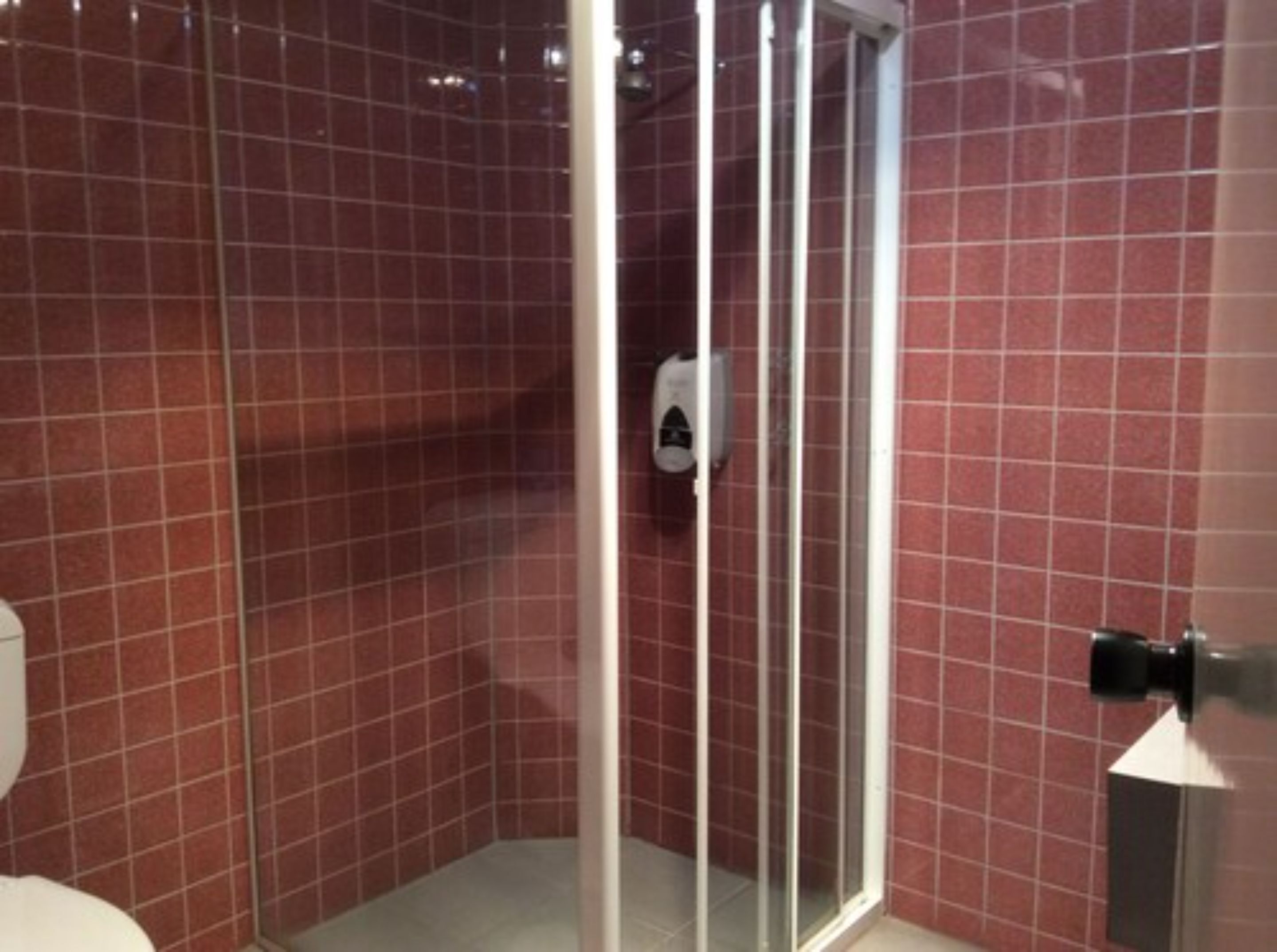 A bathroom with red tiled walls, a glass shower enclosure, and a white toilet.