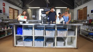 Una cocina con electrodomésticos de acero inoxidable, una isla central con contenedores de almacenamiento y un ventanal con persianas.