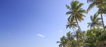 Scottys Mission beach YHA - Hostel