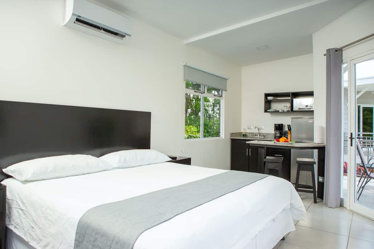 Studio, 1 King Bed, Mountain View