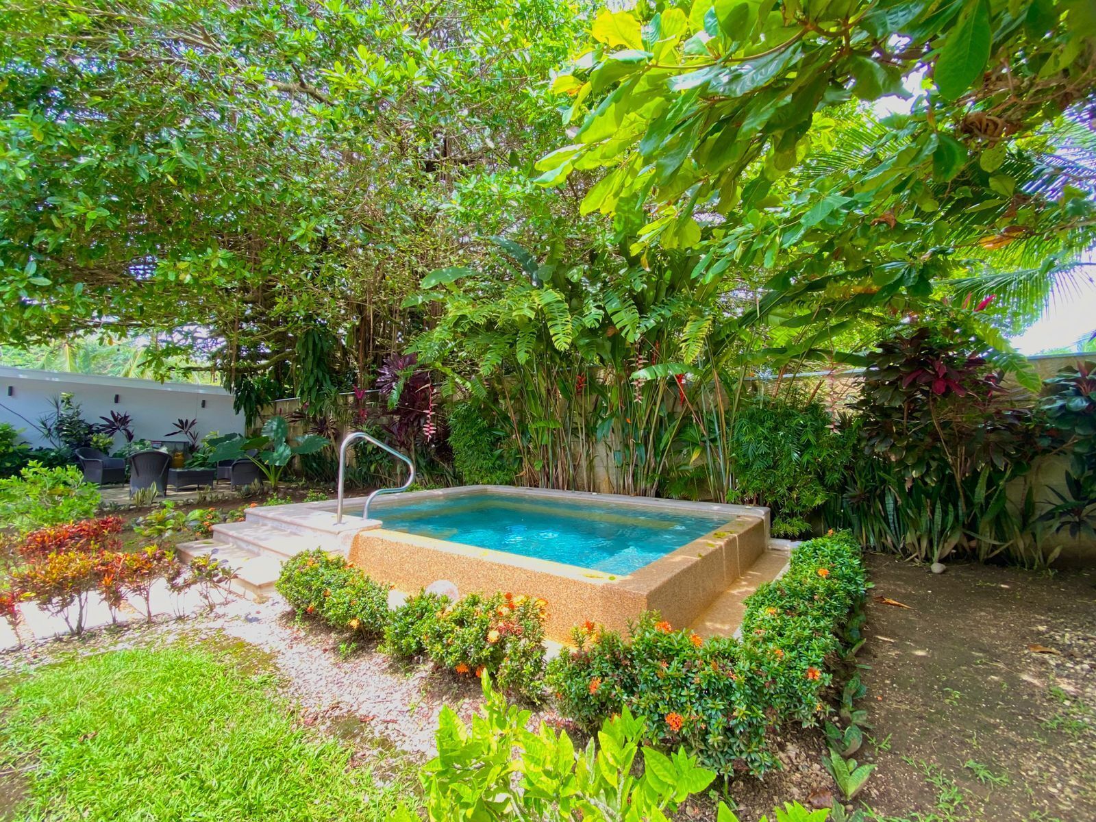 A rectangular swimming pool with a metal ladder, surrounded by lush greenery and various plants.