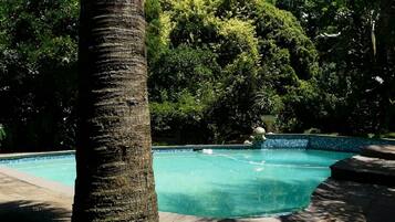 Outdoor pool, pool umbrellas, pool loungers