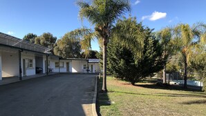 Un motel doté d’un parking couvert, d’une pelouse verdoyante et d’un grand arbre en premier plan.