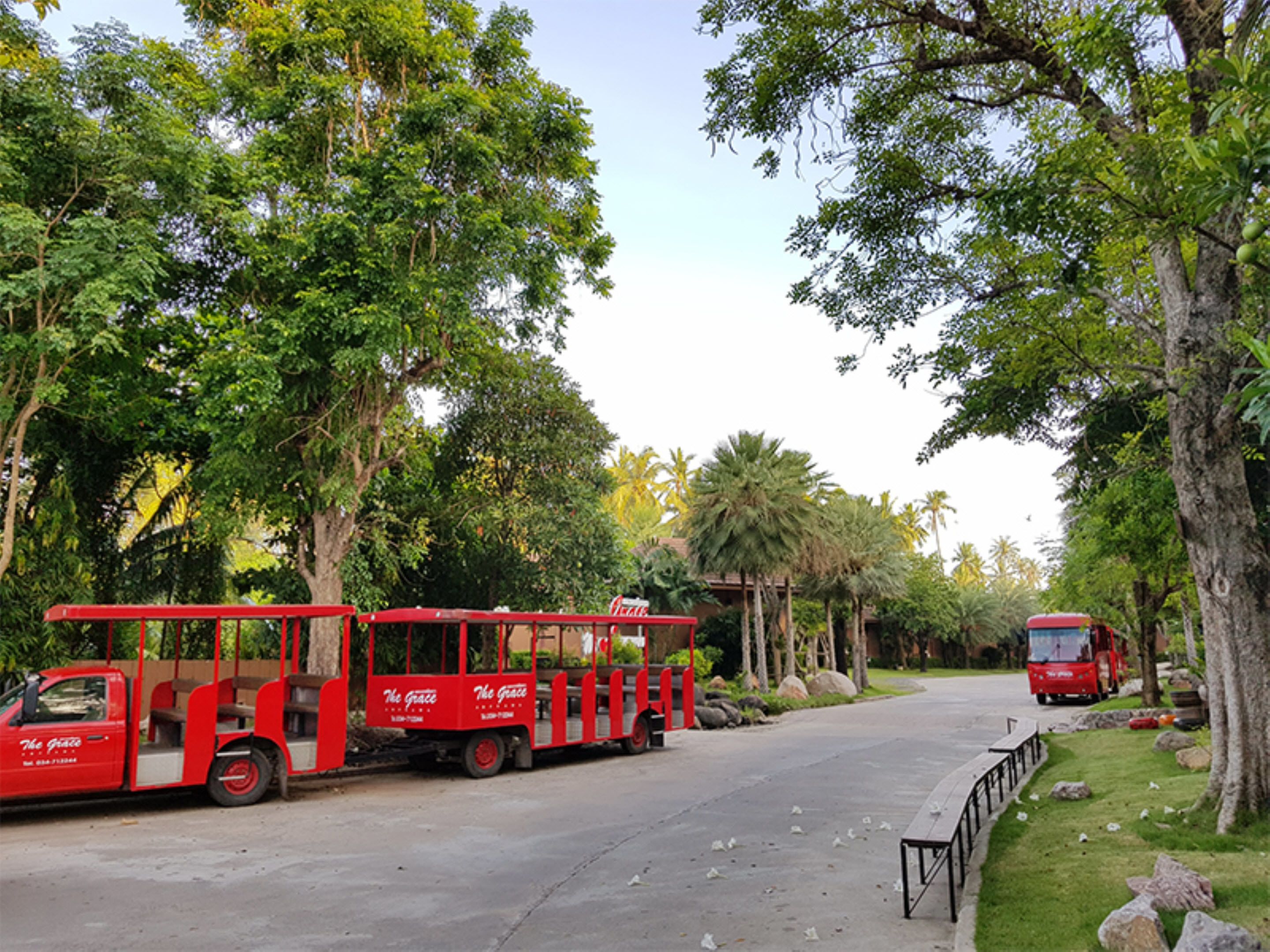 Un autobus rouge arborant le logo « The Grace » est garé sur une route bordée d’arbres et de verdure.