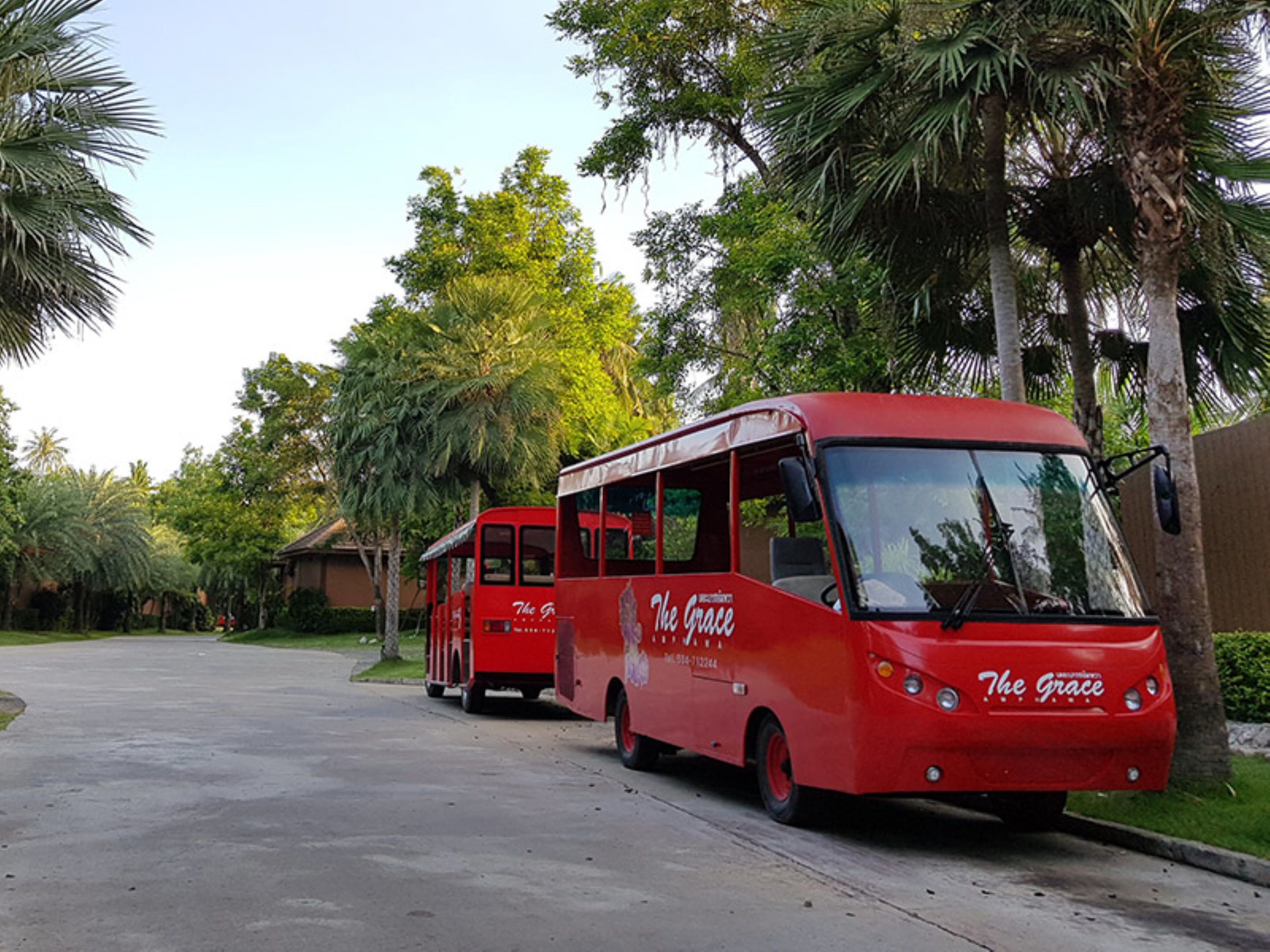 A red bus with "The Grace" written on it, parked on a paved road with palm trees and greenery in the background.