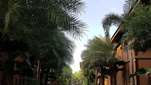 Un sendero bordeado por palmeras y vegetación, que conduce a un edificio de fachada color beige.
