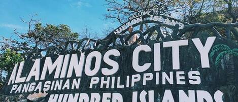 Vista del paisatge des de l'allotjament