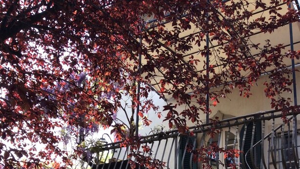 Un immeuble doté d’un balcon, d’une porte avec des panneaux de verre et d’un petit jardin.