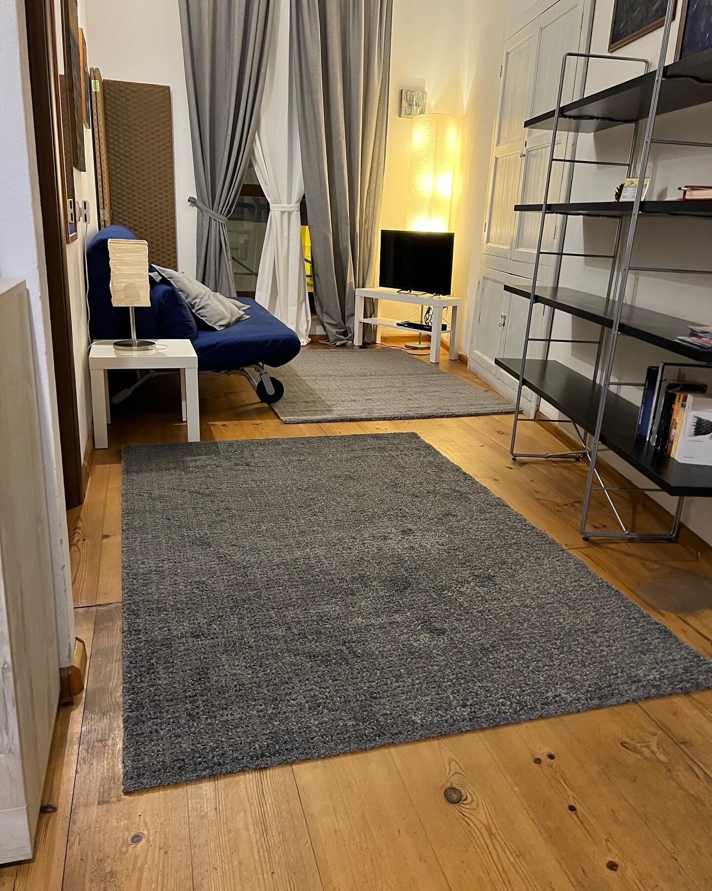A room with a blue sofa, a grey rug, a TV, and a metal shelf unit.