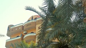 View from property - Bedouin Castle (Al Bawiti)