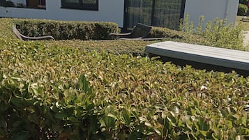 Jardim