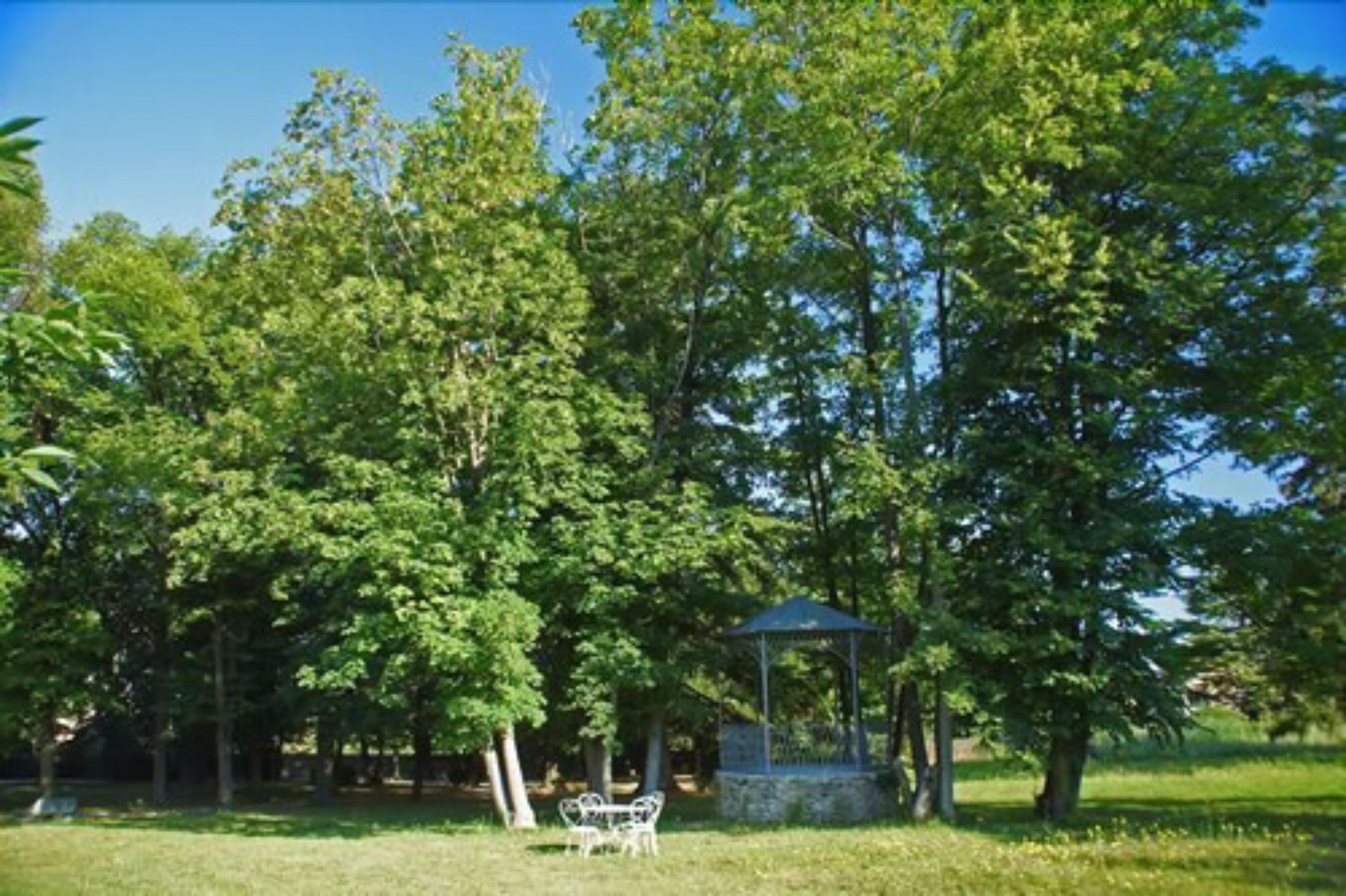 Un kiosque entouré d’arbres verdoyants dans un parc.