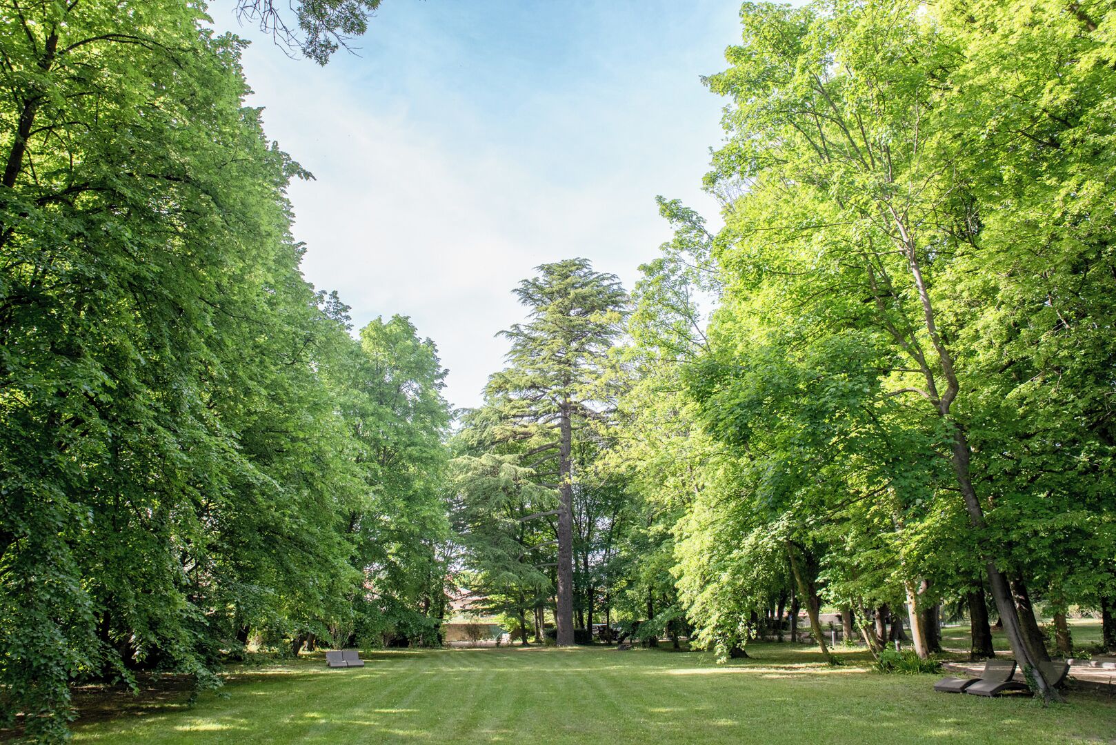A park with a well-maintained lawn, several trees, and a few benches.