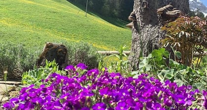 Guest House du Grand Paradis