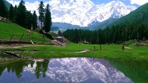 Mountain view - Fairymeadows Inn (Bunji)
