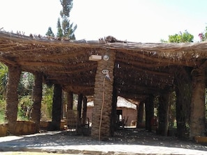 Property grounds - Badry Sahara Camp (Al Bawiti)