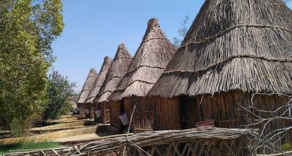 Badry Sahara Camp