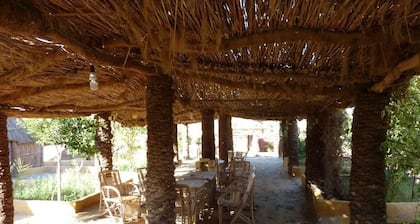 Badry Sahara Camp