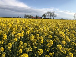 Familjestuga | Terrass/Patio