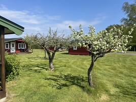 Familjestuga | Terrass/Patio