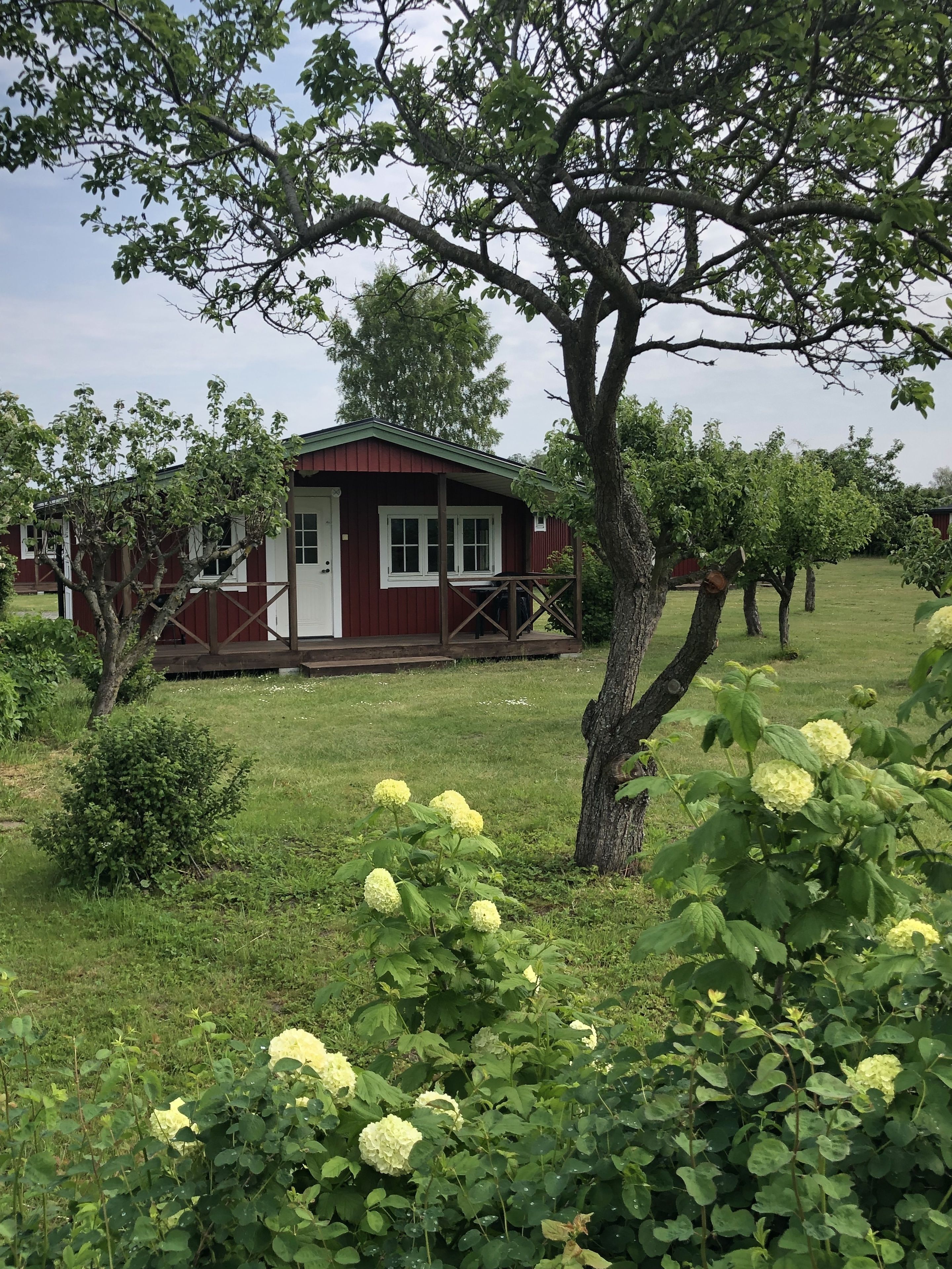 Un piccolo chalet rosso con una porta e finestre bianche, immerso in un’area erbosa con alberi e fiori gialli.