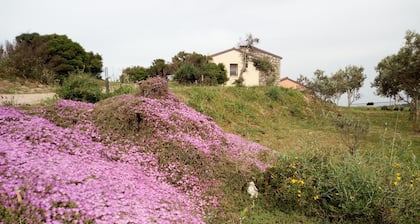 Tenuta Petra Bianca