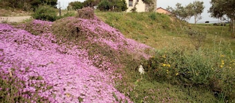 Tenuta Petra Bianca