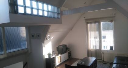 MyCityLofts - Schiedamseweg