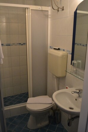 Driepersoonskamer | Badkamer | Een douche, gratis toiletartikelen, een haardroger, handdoeken