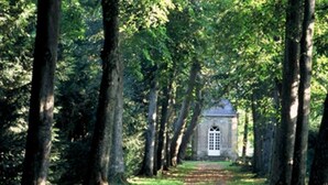 Een pad dat leidt naar een klein stenen gebouw, omringd door hoge bomen.