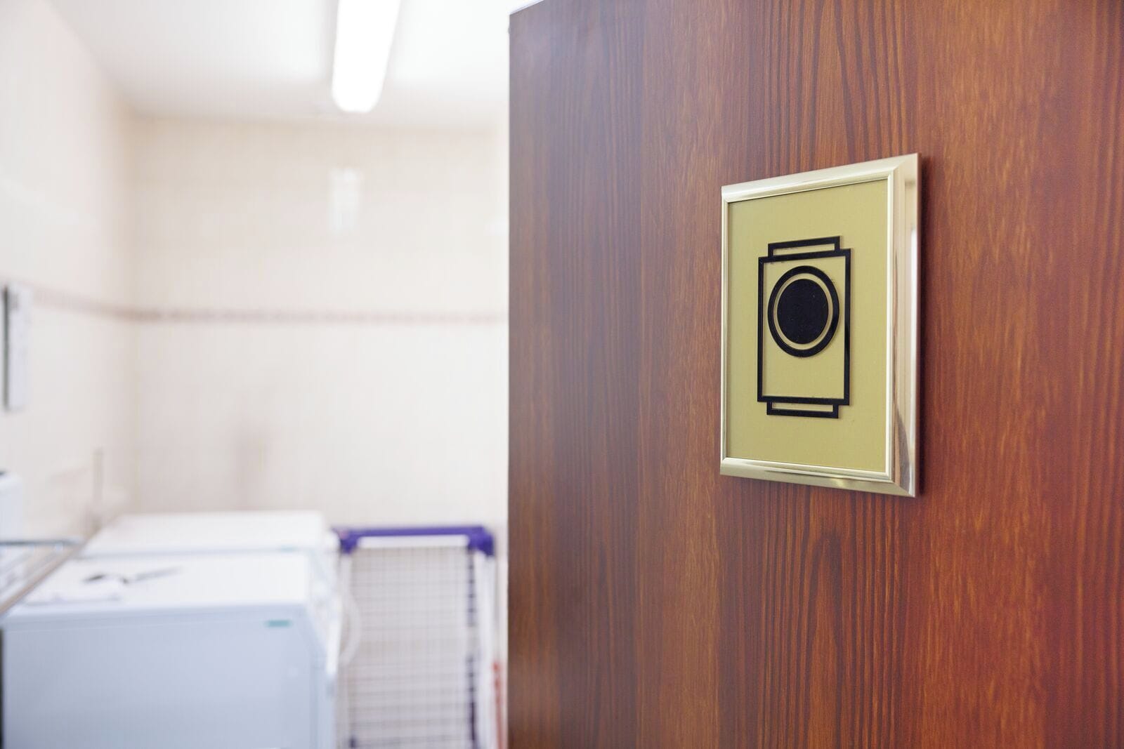 Una habitación con puerta de madera, un cuadro enmarcado y una lavadora al fondo.