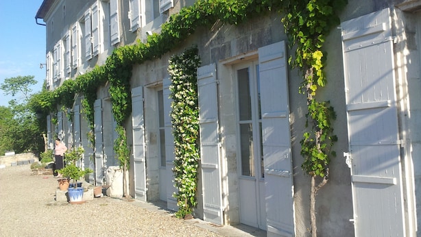 Un bâtiment avec une allée en gravier et des volets blancs, agrémenté d’une rangée de plantes en pot et d’un petit arbre.