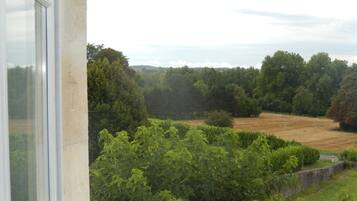 Blick aus einem Fenster auf eine ländliche Landschaft mit Bäumen und einem Feld.