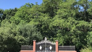 Une entrée fermée par un portail en fer forgé décoratif, entourée d’arbres verdoyants et sous un ciel d’un bleu limpide.