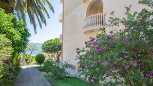 Property grounds - Villa Mitrovic (Budva)