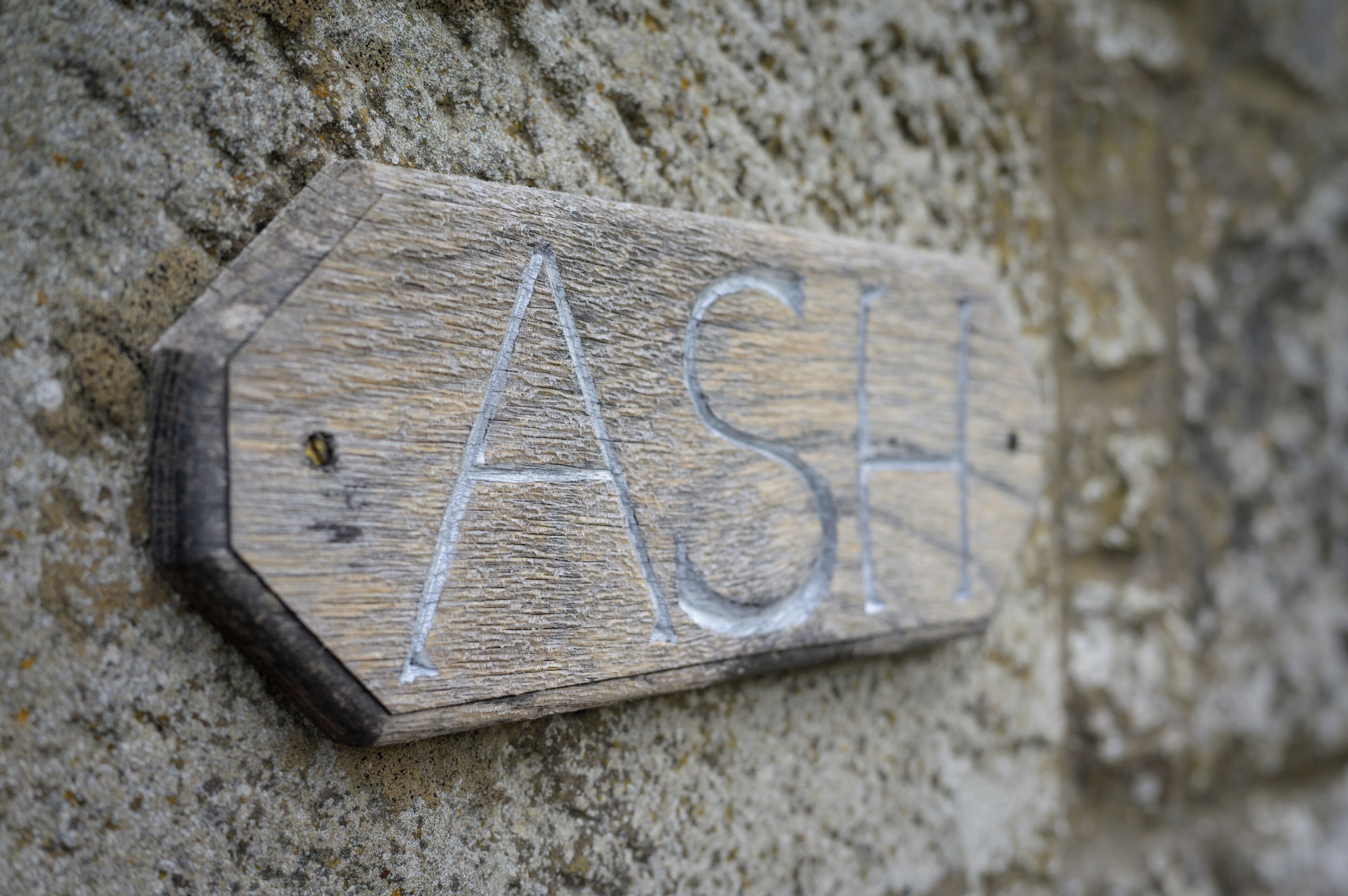 Un letrero de madera con las letras 'ASH' talladas, sujeto a una pared de piedra con textura.