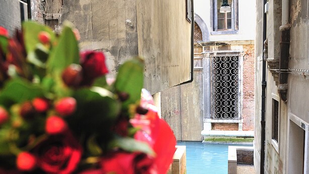 A narrow alleyway with a pool, a red rose bouquet in the foreground, and a building with a metal gate. - Ca Maurice (Venice)