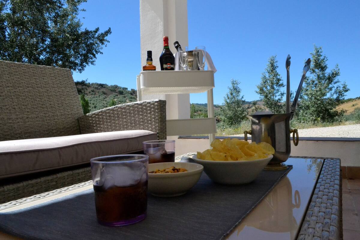 Une table avec des collations, des boissons et une bouteille de martini, placée sur un balcon d’où l’on peut admirer des arbres et des collines.