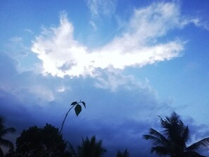 A palm tree silhouetted against a sky with clouds. - Hotel Elephant Lobby (Rambukkana)