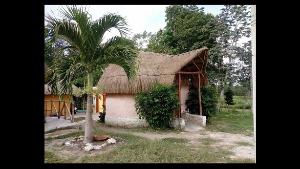 View from property - Ecohabitat (Calakmul)