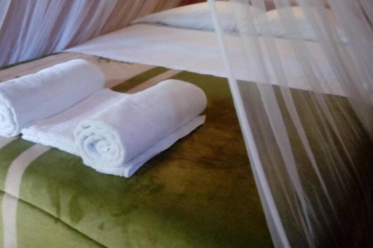 Cabane | Rideaux occultants, Wi-Fi gratuit, draps fournis